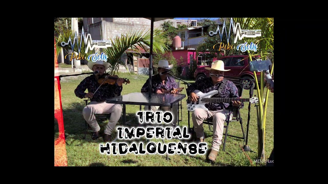 Trio Imperial Hidalguense - El Texano 