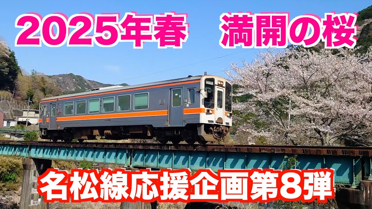【2025年春】桜が満開の雲出川沿いを走る名松線（名松線応援企画第8弾）