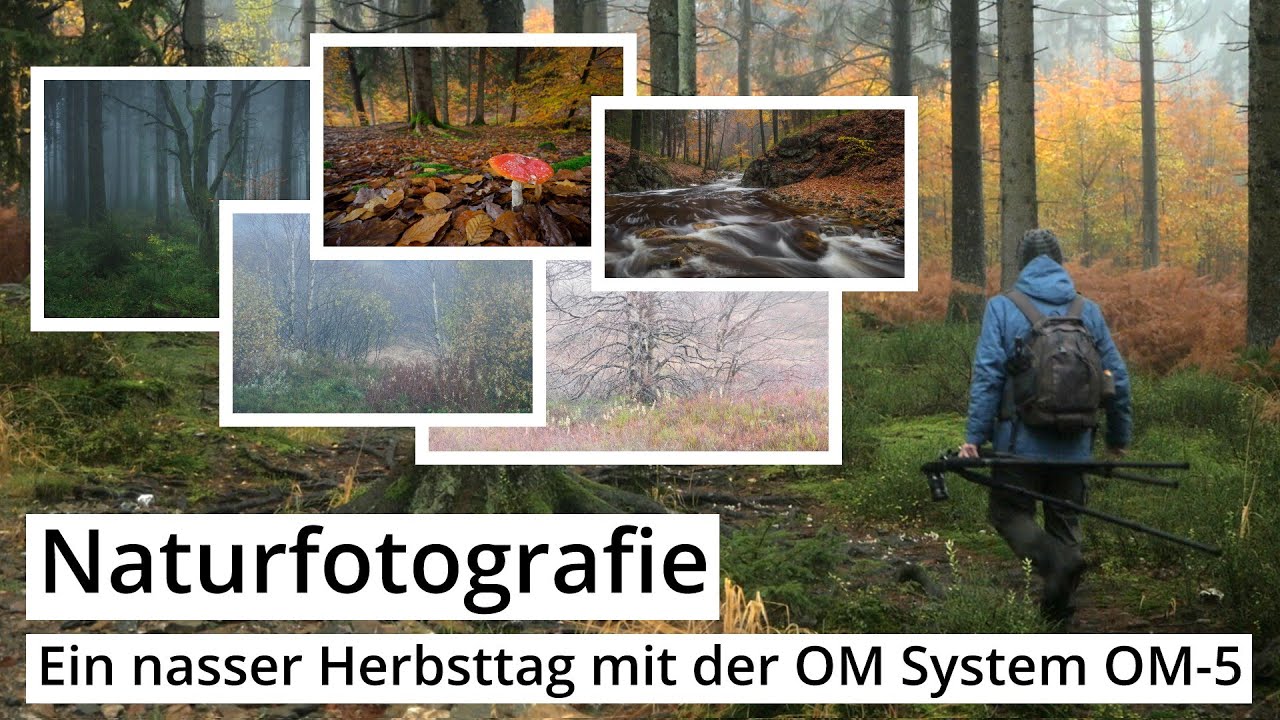 Naturfotografie: Ein nasser HERBSTTAG mit der OM System OM-5 und ein paar GEDANKEN zur KAMERA