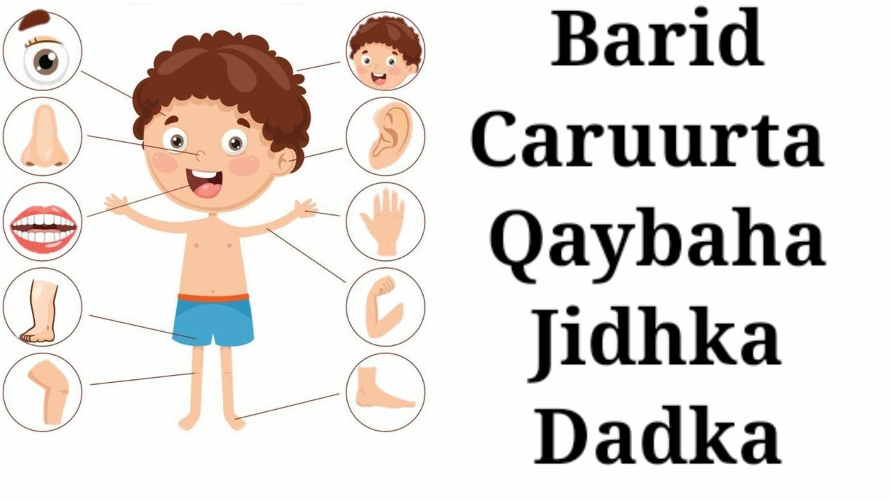 barid caruurta qaybaha jidhka  Q. 1aad 2020