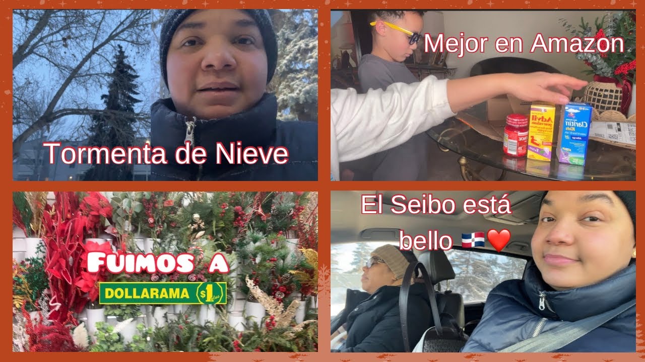 Fuimos al médico/ Dos años sin ir 🇩🇴🥹/ Mejor en Amazon/ Lo que me gusta del Dollarama/ 