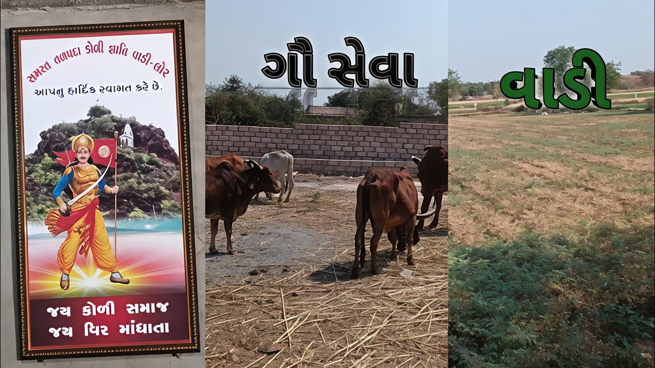 આજે તો બચી ગયા 😱😜 #family #vlog #farming 