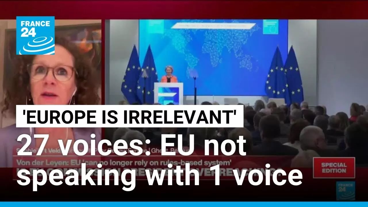 'EU needs a bit of a revolution: There is no European strategy or foreign policy' • FRANCE 24