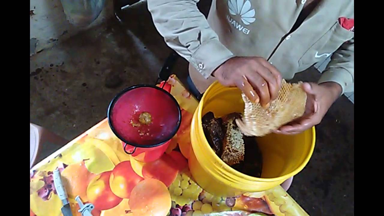 extraccion de miel de abejas de forma artesanal...visitame 