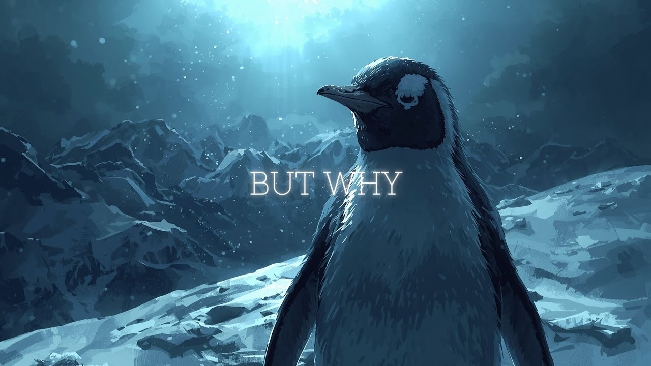 D4NKO - But Why