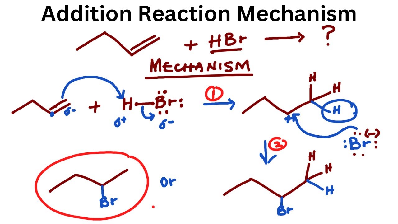 Addition Reaction Mechanism (Organic Chemistry)