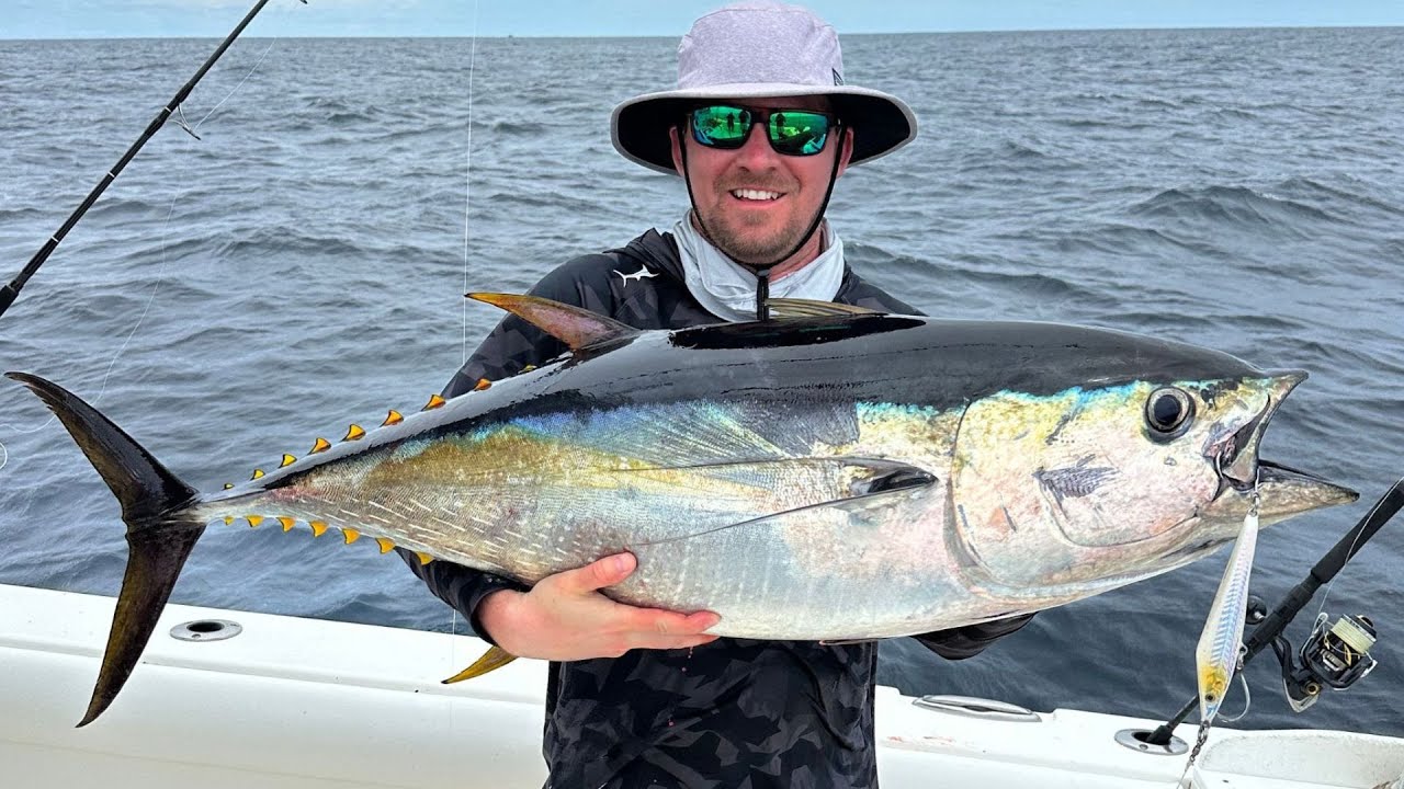 PANAMA 2024 - Topwater Yellowfin Tuna fishing