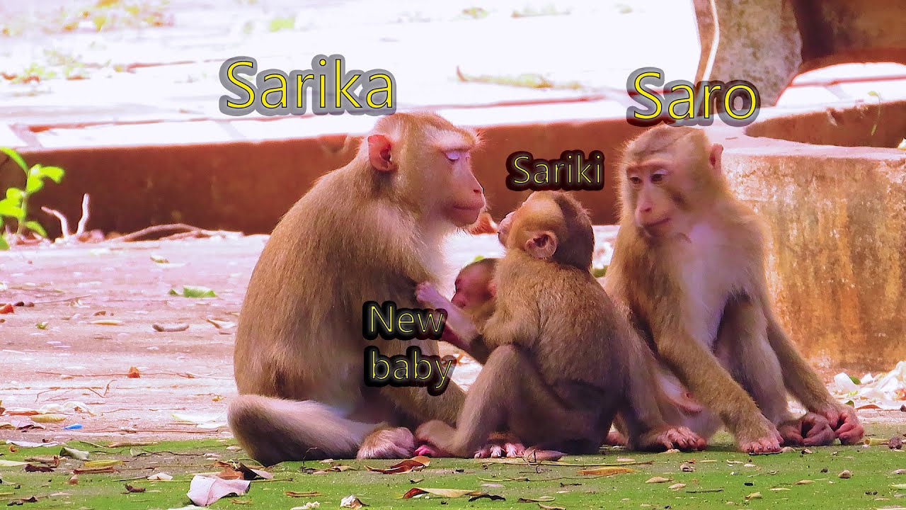 A Mother&rsquo;s Warm Embrace &ndash; Sarika&rsquo;s Heartwarming L0ve for Her Child ❤️