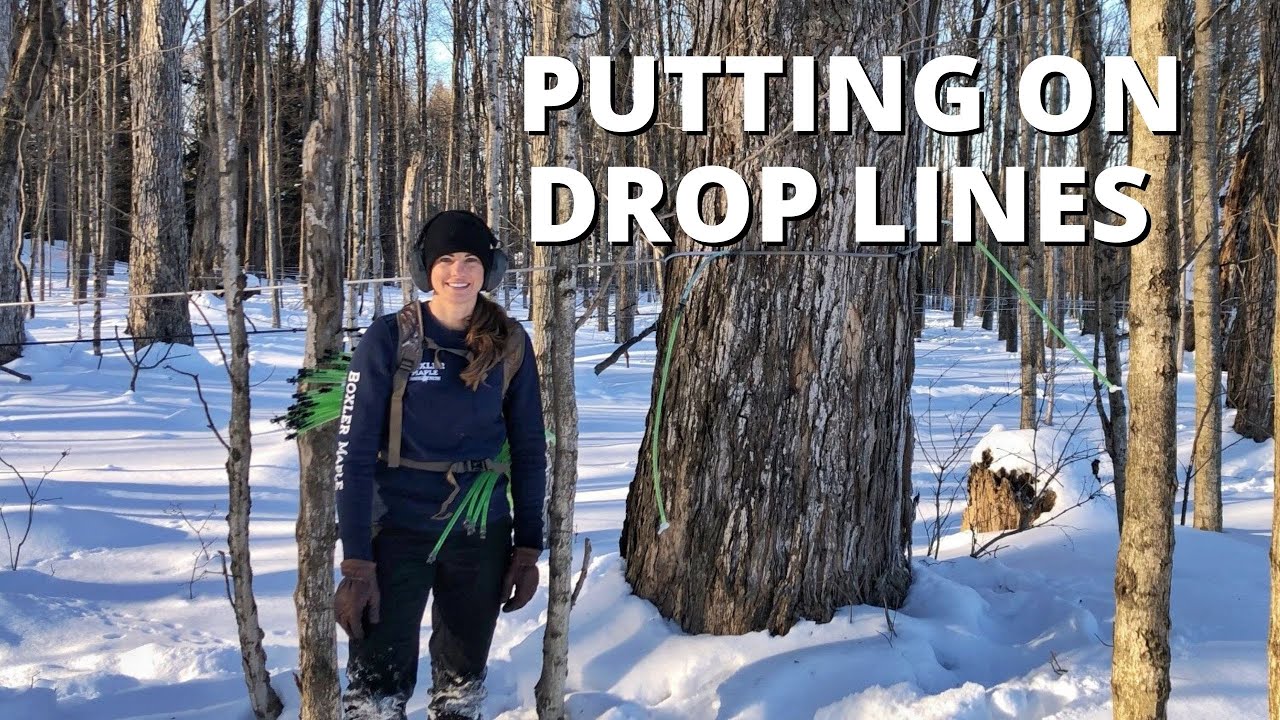 I'm Back and Putting on Drop Lines