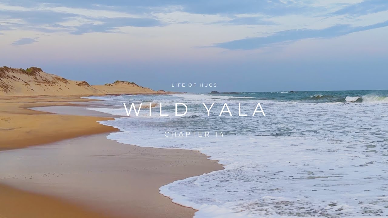 Jetwing Yala Hotel Review: Luxury Stay on Sri Lanka’s Wild East Coast 🐾