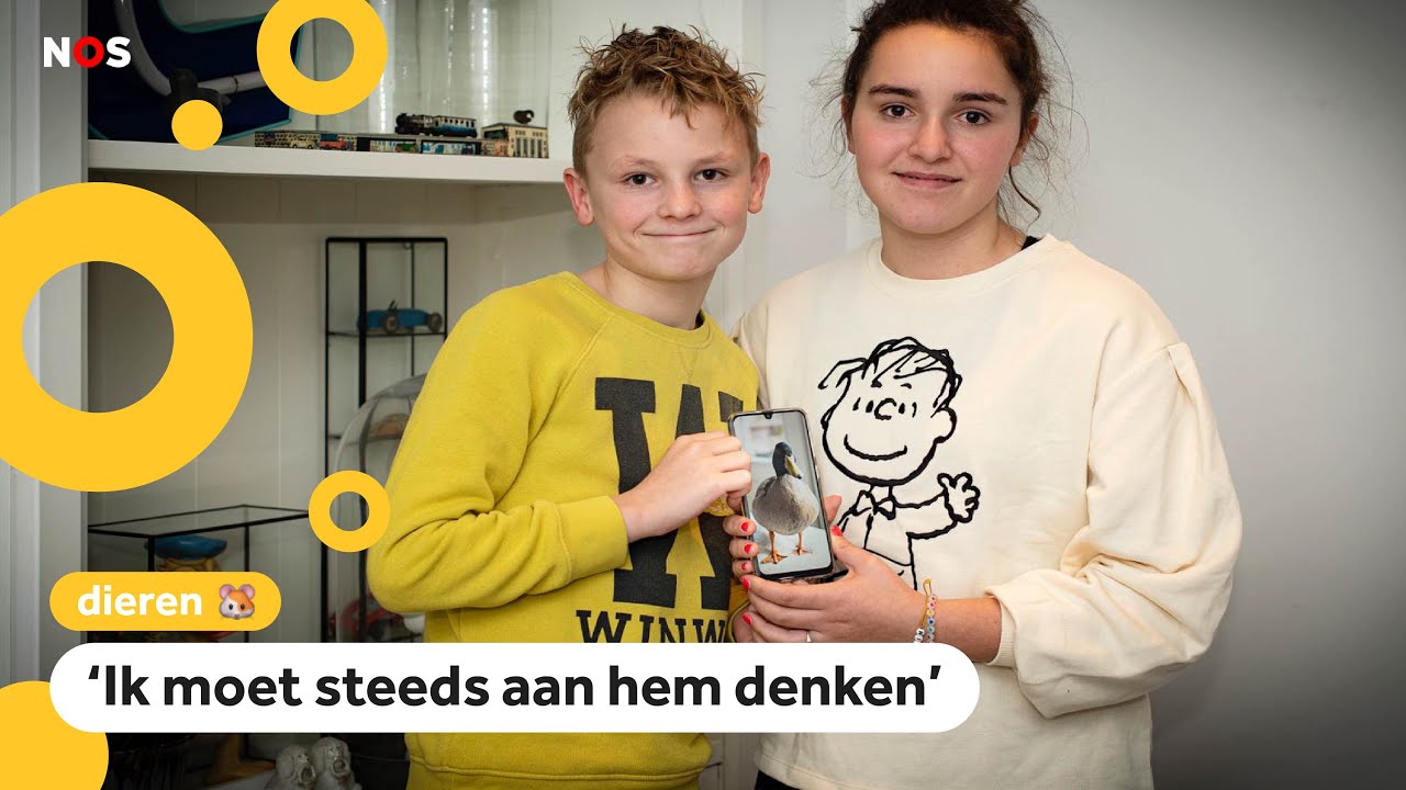 De huis-eend van Robin en Marijn is verdwenen