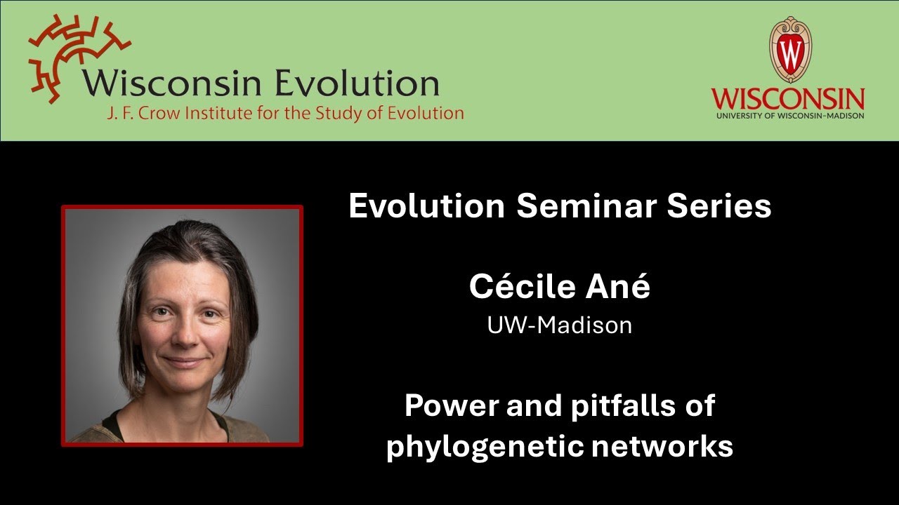 Cécile Ané: Power and pitfalls of phylogenetic networks