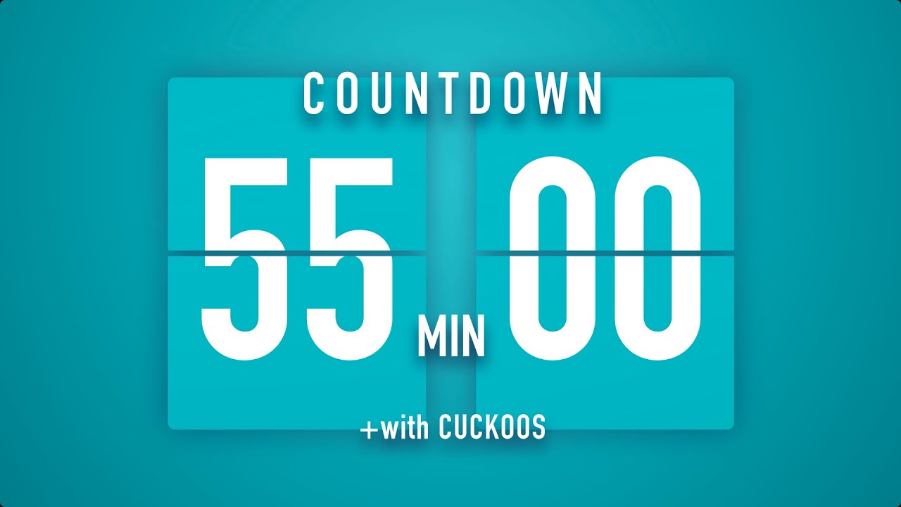 55 Minutes Countdown Flip Clock Timer / Cuckoos 🐦