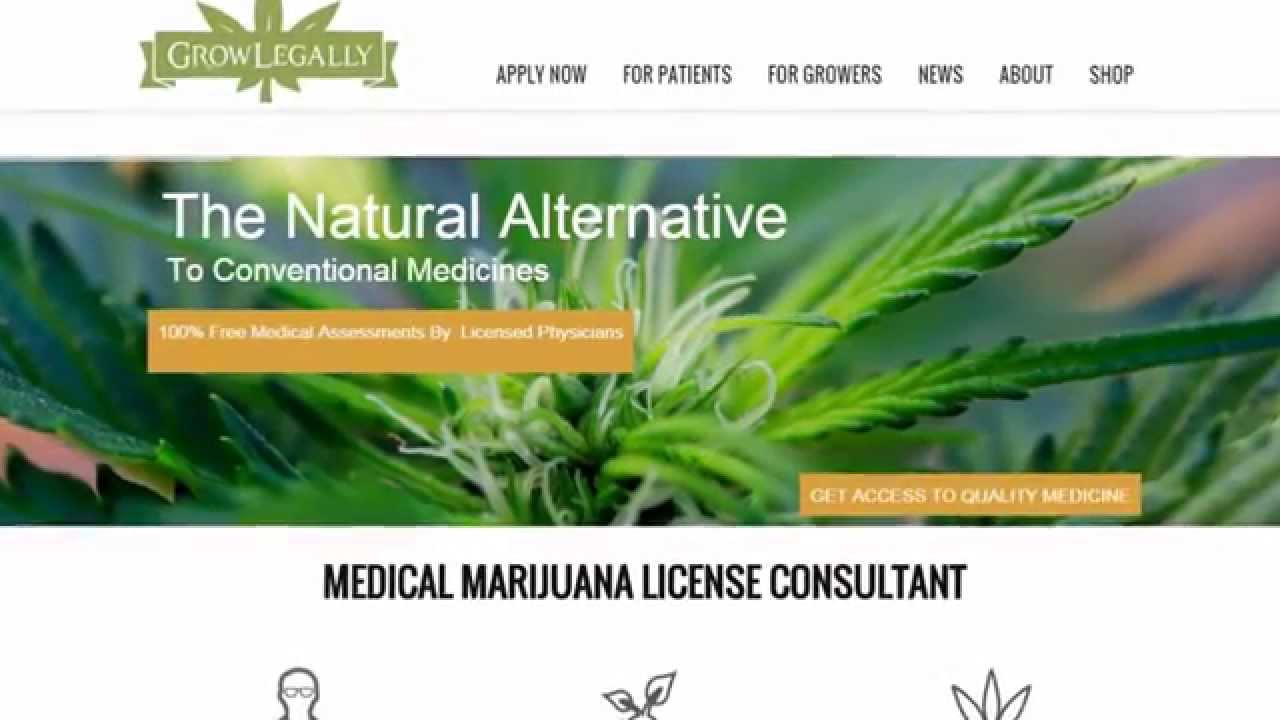 Know About Licensed Producer Of Marijuana