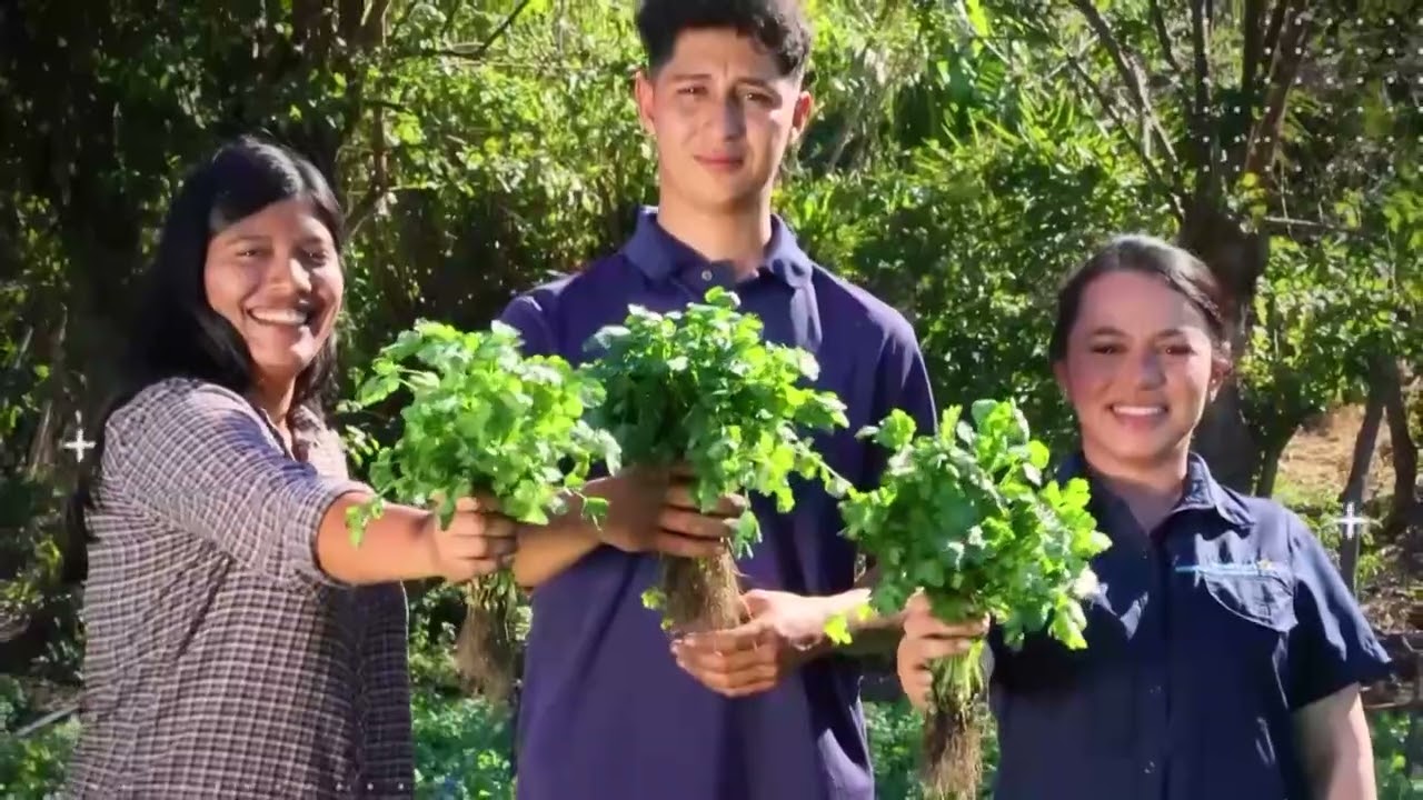 Programa Tierra Fértil de Walmart beneficia a productores agrícolas salvadoreños