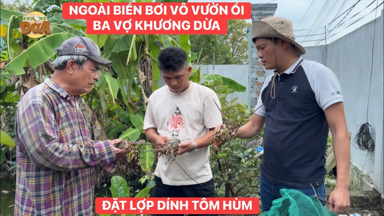 Thăm lợp dính 4 con tôm hùm trong vườn ổi của ba vợ Khương Dừa 