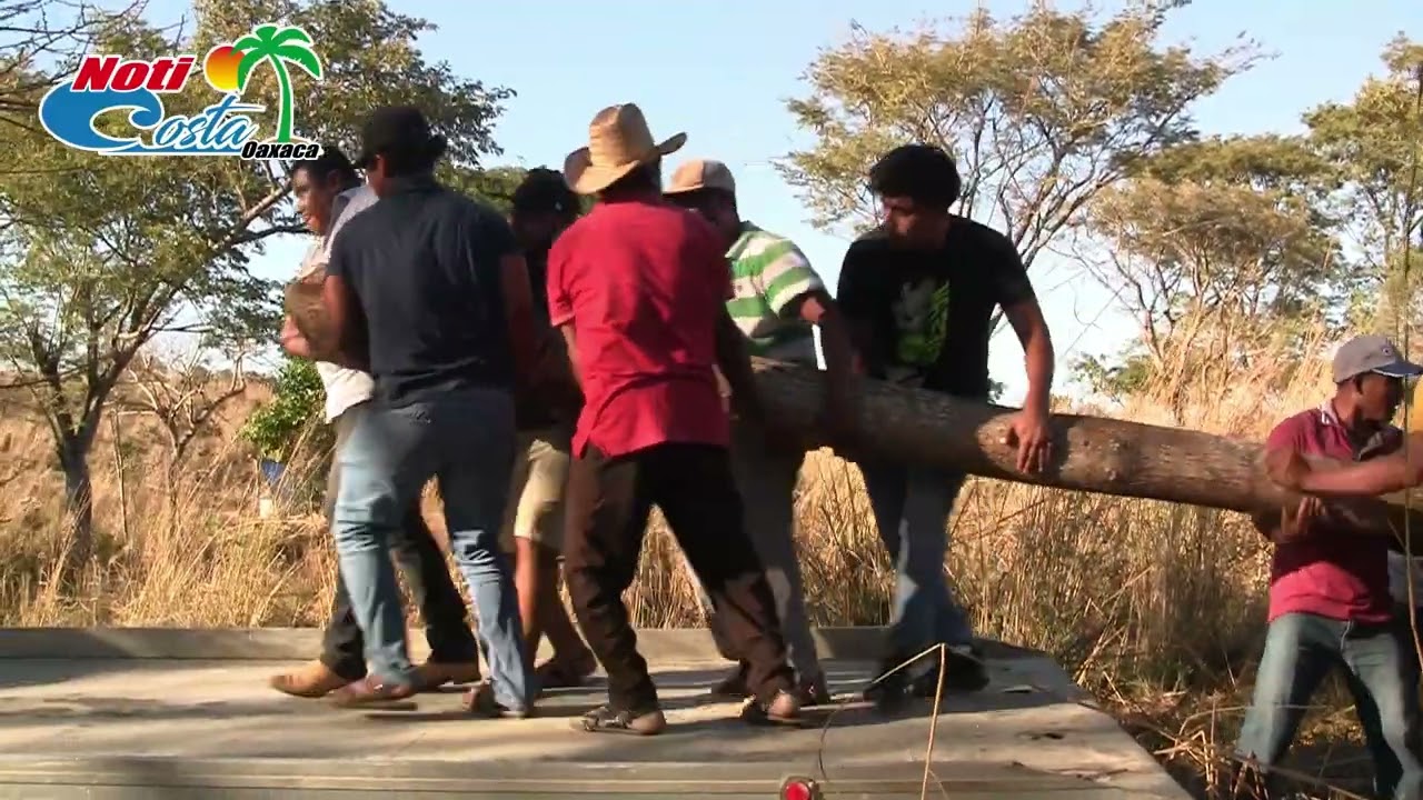 CORTA CRUZ TEJORONES SAN MIGUEL TLACAMAMA OAXACA
