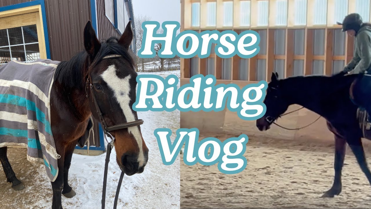HORSE RIDING ON A FRESH WINDY DAY ! | Horse Riding Vlog