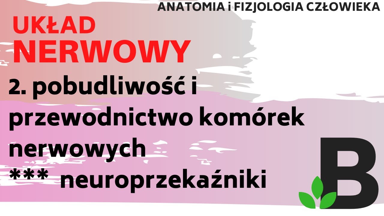 Pobudliwość przewodnictwo komórek nerwowych NEUROPRZEKAŹNIKI układ nerwowy  KOREPETYCJE BIOLOGIA 307