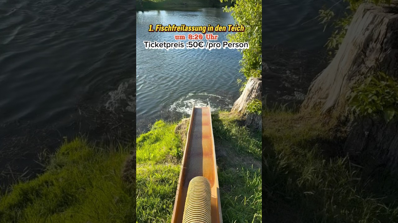 1. Fischfreilassung in den Teich um 8:20 Uhr Ticketpreis :50&euro; /pro Person#angel #Angelpark #fyp