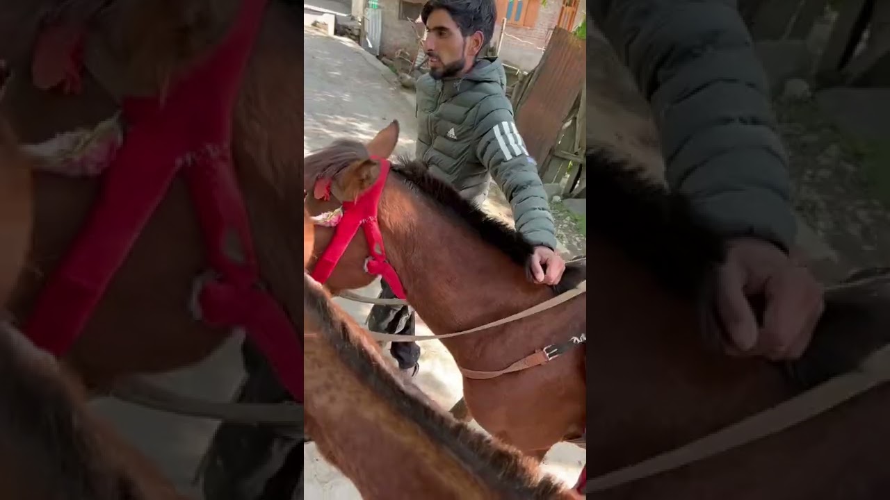 Pony ride rates in Kashmir - Pahalgam
