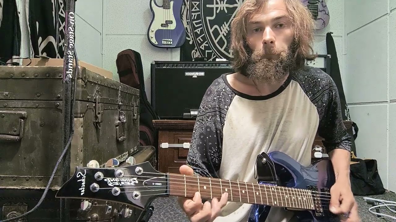 This is why I play a  schecter diamond series