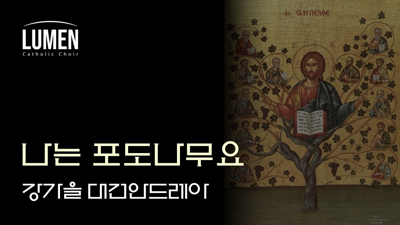 나는 포도나무요 - 강가을 대건안드레아