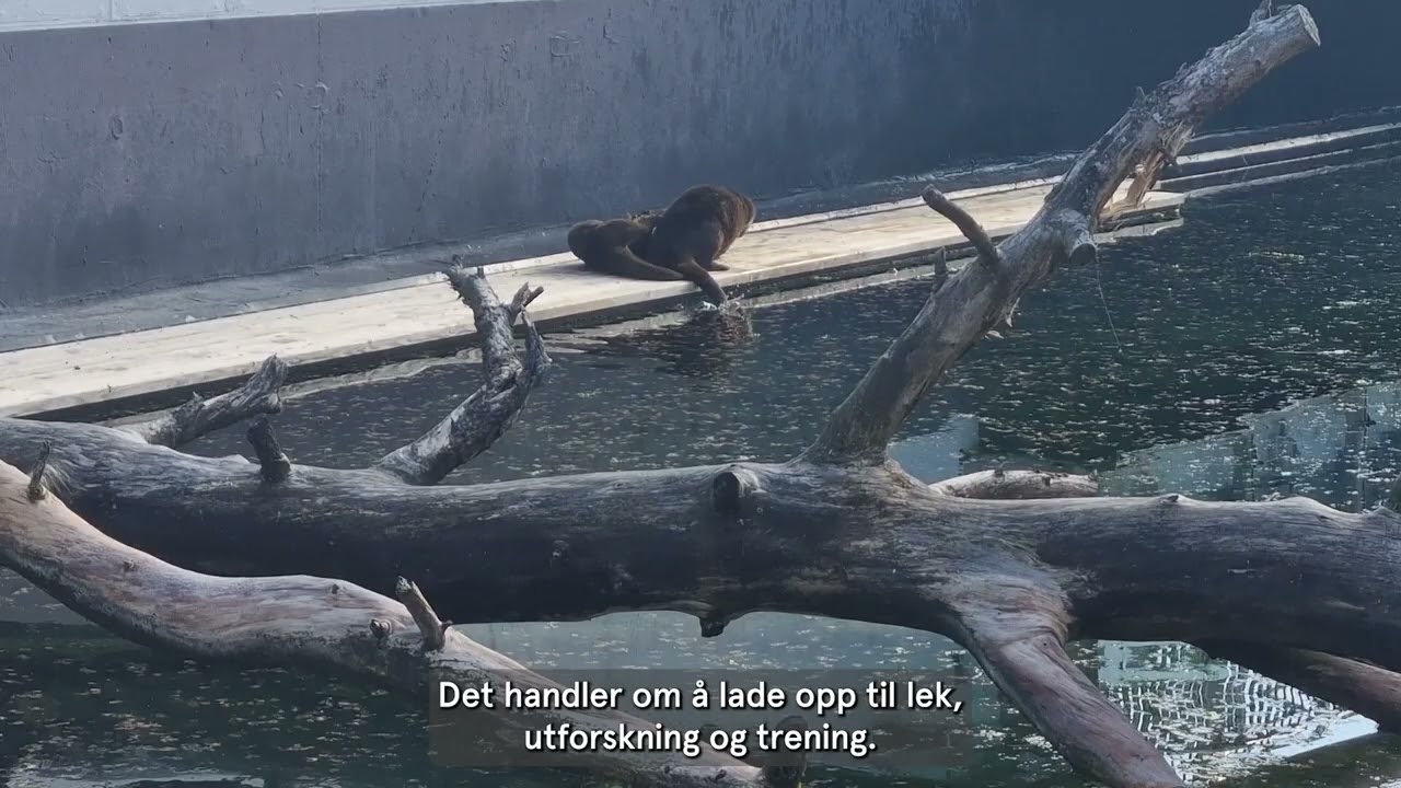 Episode 3 av serien 