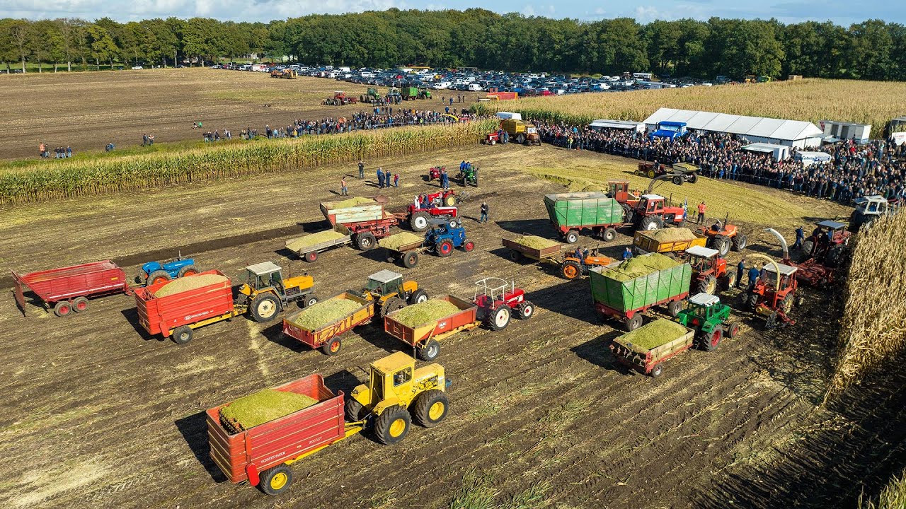 Oldtimer Hakseldag Dalen 2022 | Classic maize harvest in Holland