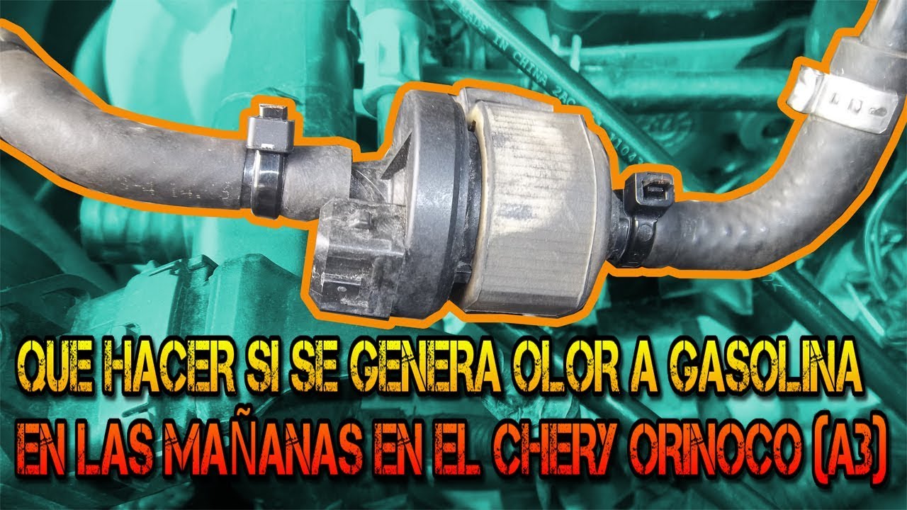 QUE HACER SI SE GENERA UN OLOR A GASOLINA EN LAS MAÑANAS EN EL CHERY ORINOCO A3
