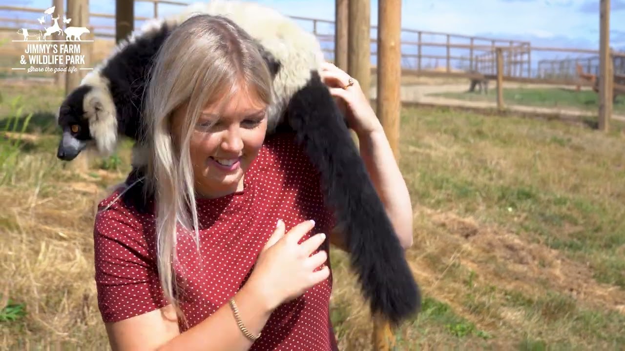 Animal Experience's at Jimmy's Farm and Wildlife Park!
