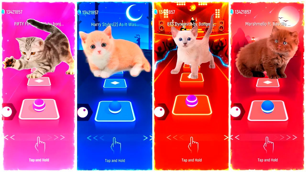 CUTE CATS| Cupid - FIFTY FIFTY vs Harry Styles vs BTS - Dynamite vs Marshmello ft.Bastille - Happier