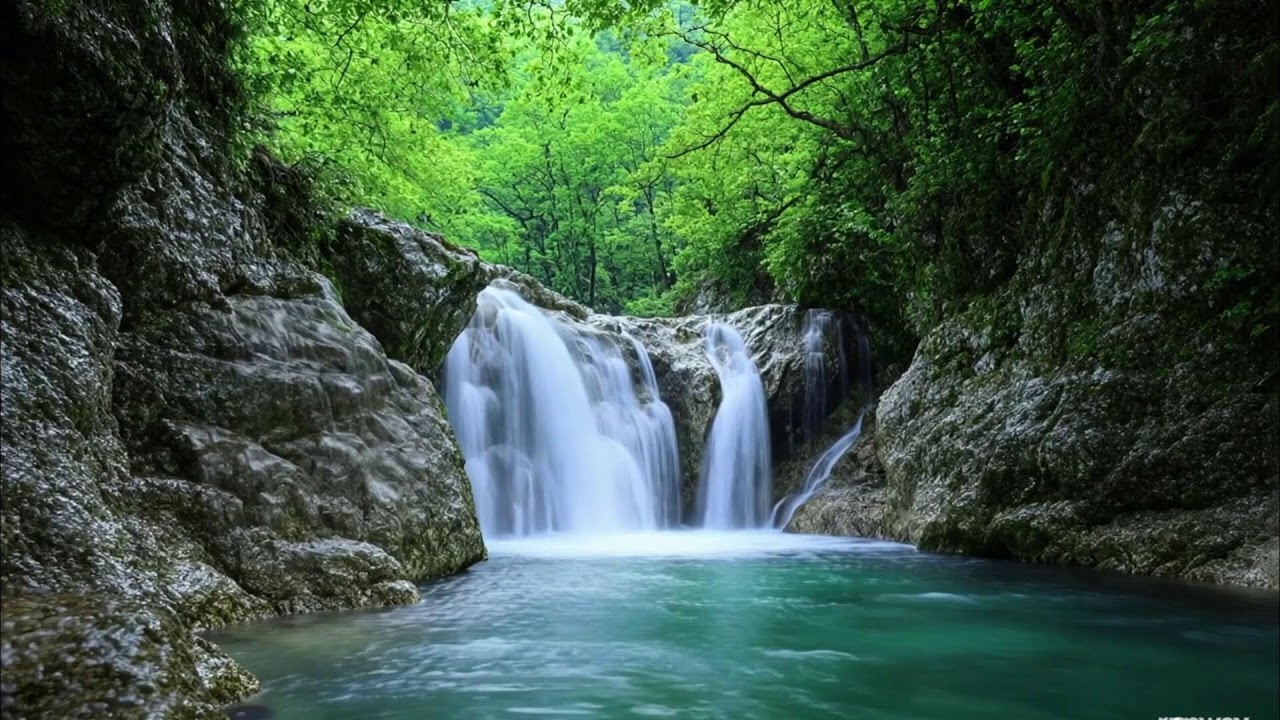Gentle Piano Music & Water Sounds | Calm Your Mind and Meditate 🌿 Relaxing Sleep