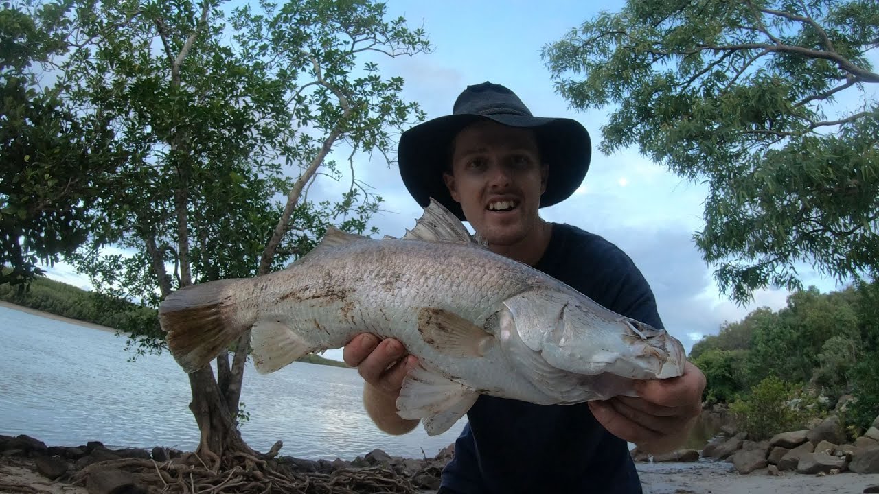 Barramundi Fishing in Far North Queensland - Cooktown - Cape York -  Travelling Australia - Ep 18