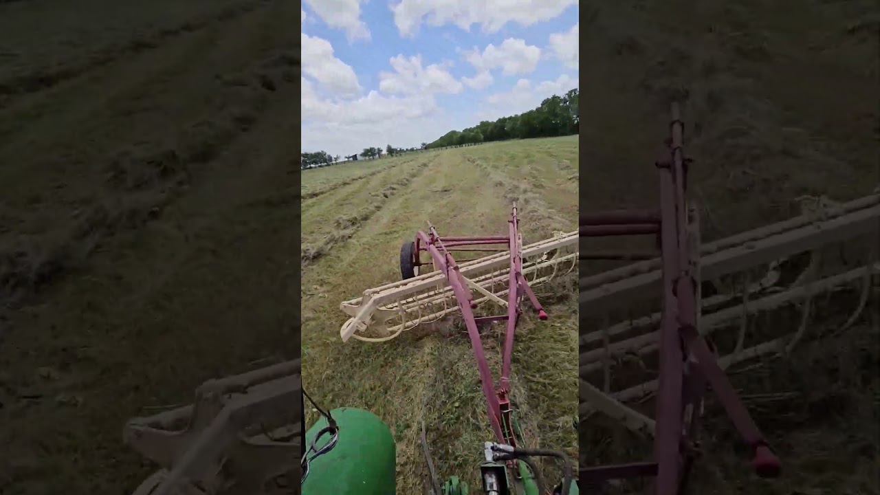 Raking last nights hay with the old Holland bar rake on a beautiful Saturday. #hay #farming