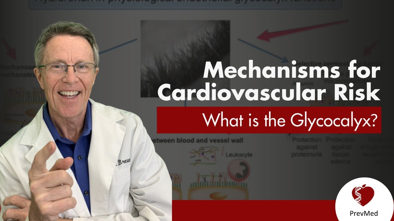 The Glycocalyx: Where CV Damage Occurs?