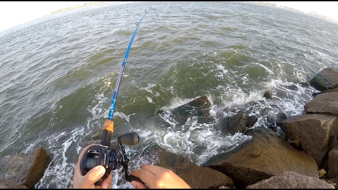 Sheepshead Fishing in Seawolf Park