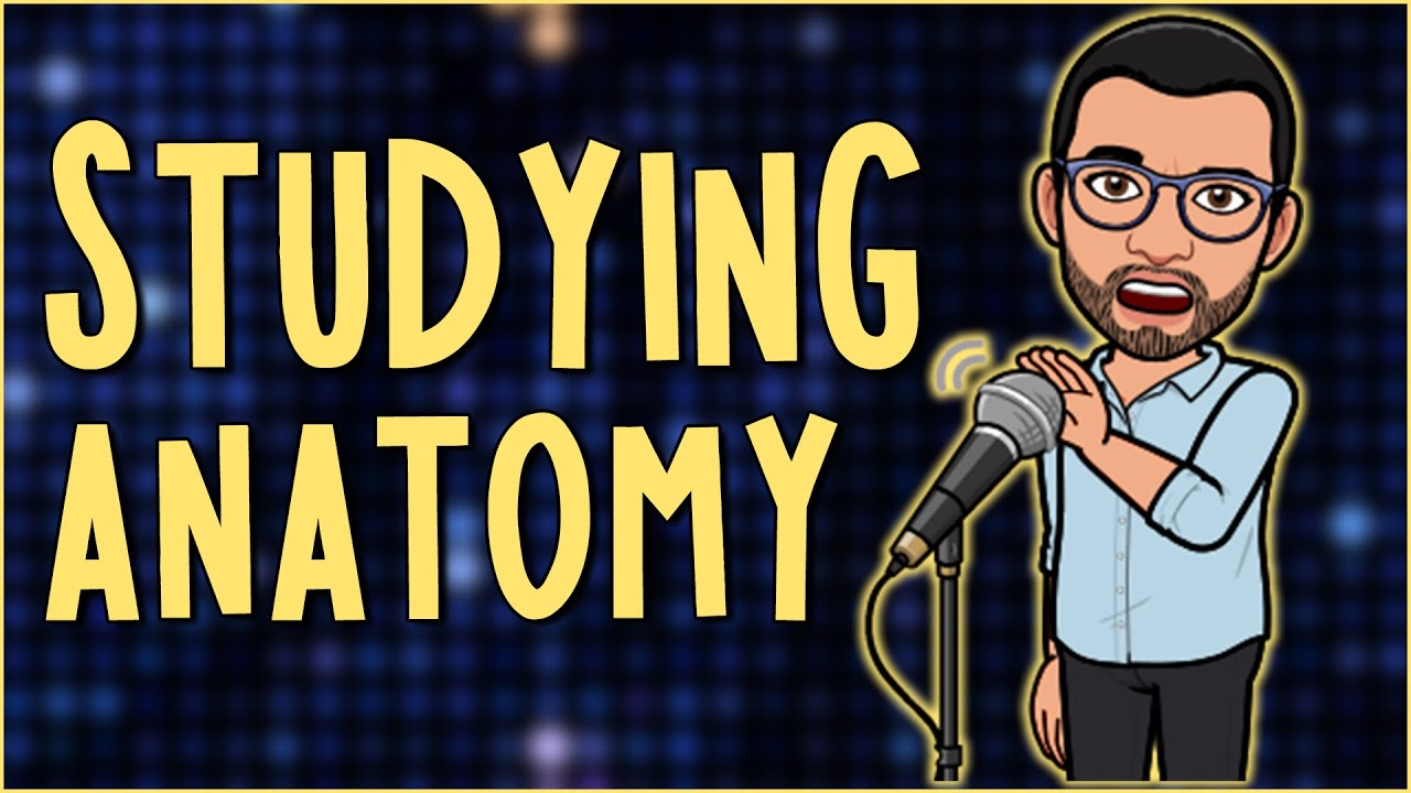 How to study Anatomy for Exams ? | Podcast 02