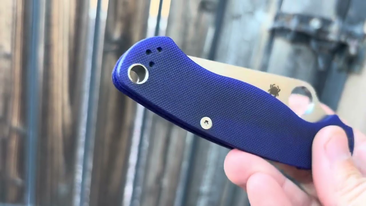 Day 11 - Spyderco Paramilitary 2 in s110v blurple