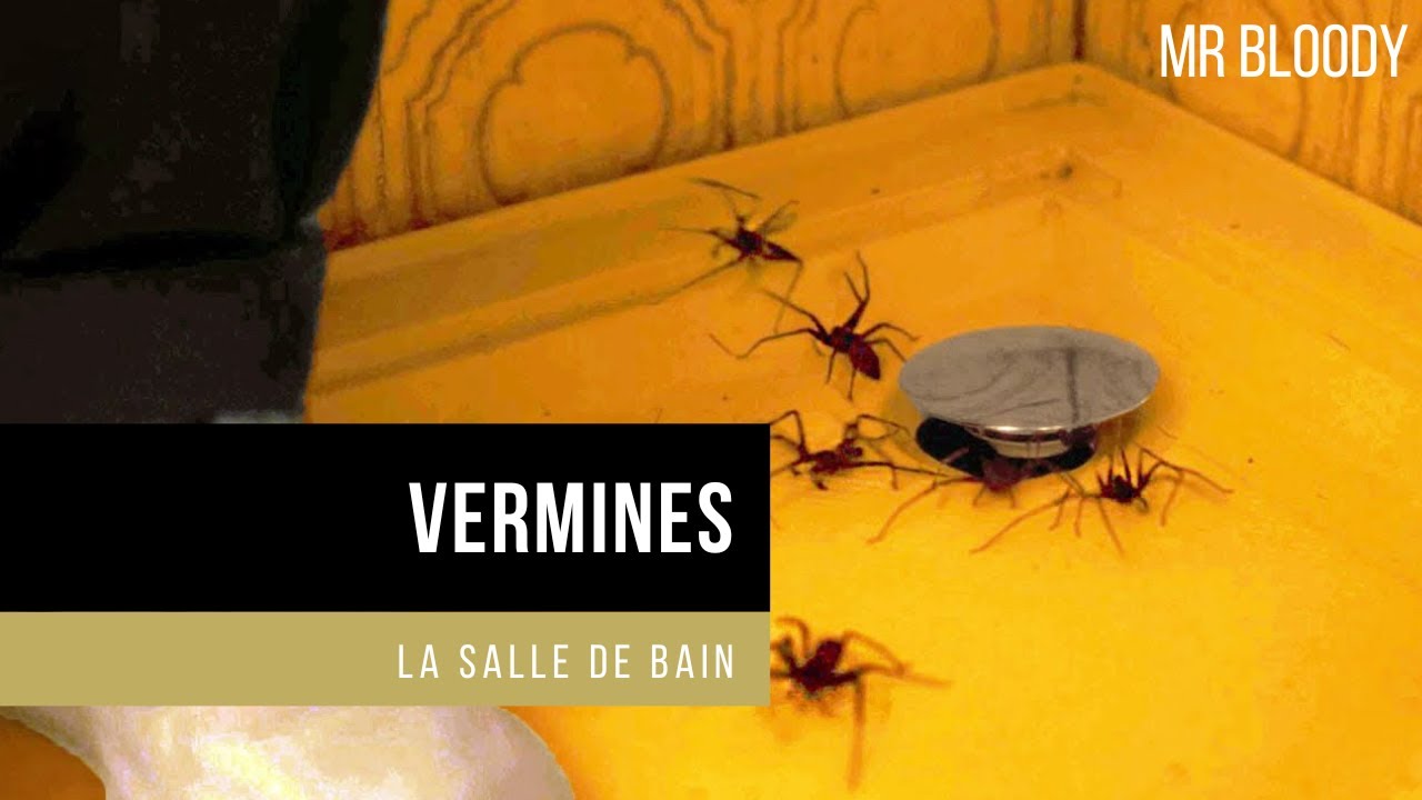VERMINES (2023) - LA SALLE DE BAIN