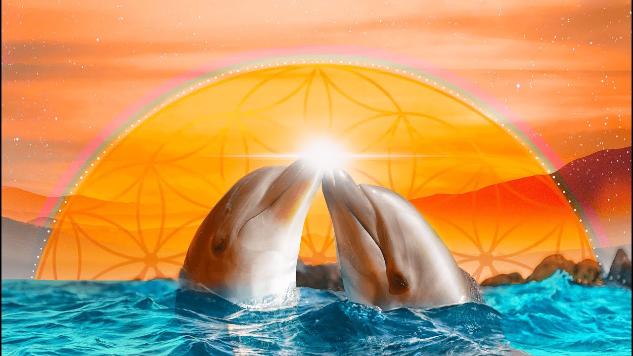 Dolphin Sounds Sacral Chakra 417hz Sirian Starseed Healing Music