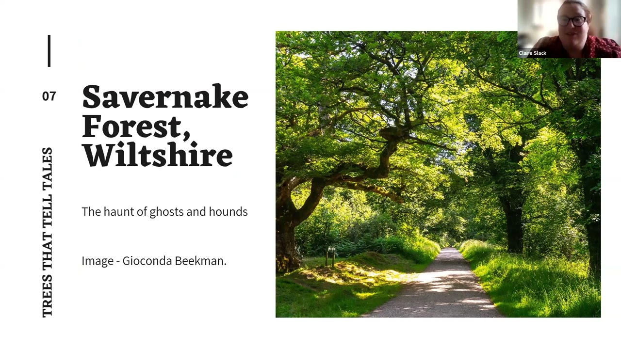 Trees with Tales to Tell: Folklore and Cultural Heritage of Britain’s Ancient Trees, by Claire Slack