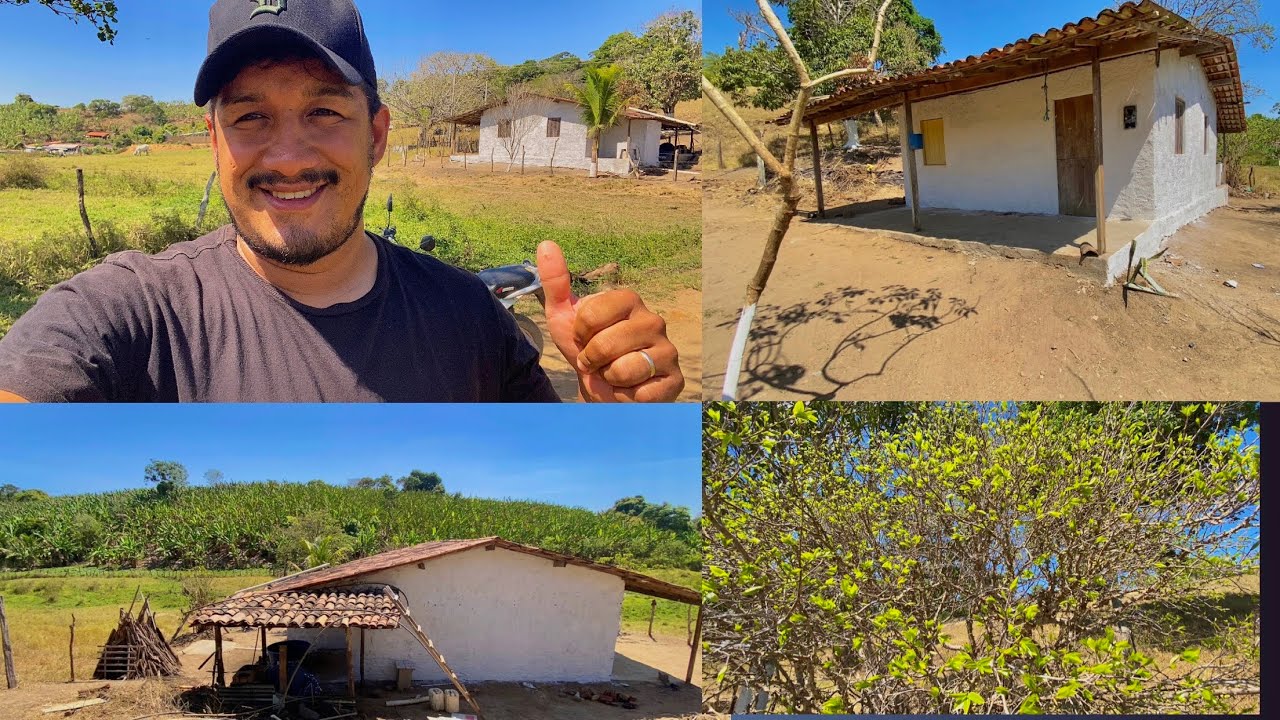 A CASINHA NO PÉ DA SERRA FICOU LINDA DEPOIS QUE O CAL SECOU + BAIÃO DE DOIS NO DELIVERY!!!