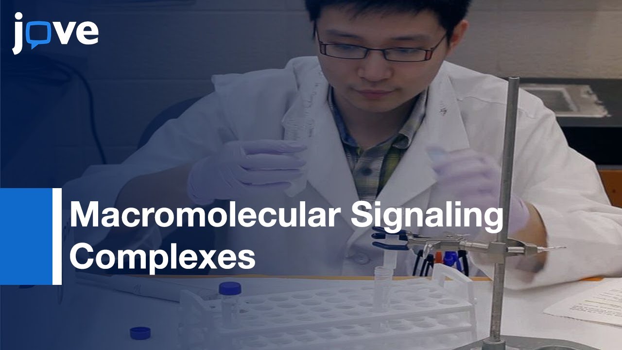 Analysis Of PDZ-Dependent CFTR Macromolecular Signaling Complexes l Protocol Preview