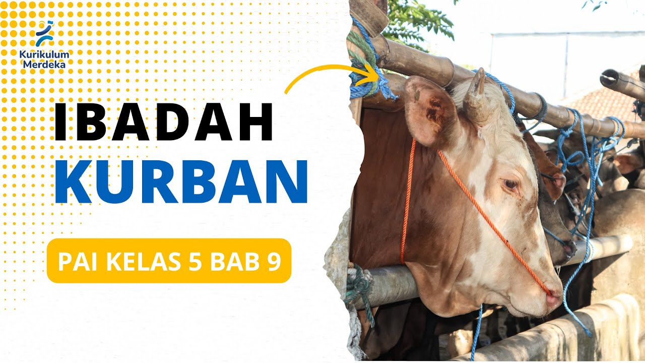 PAI Kelas 5 Kurikulum Merdeka Bab 9 | Ibadah Kurban