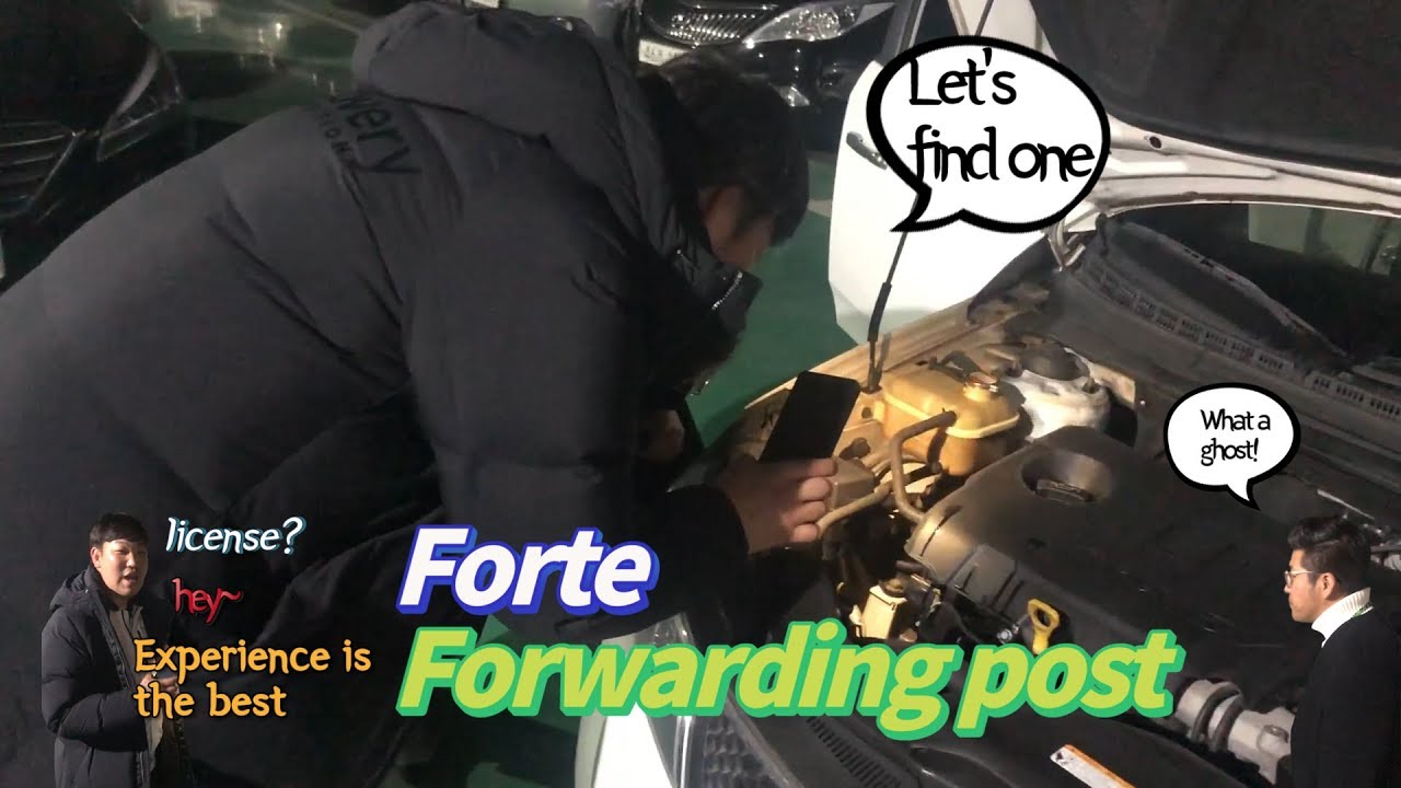 Buyers who contacted again a year later! Technician's license? He knows cars too well