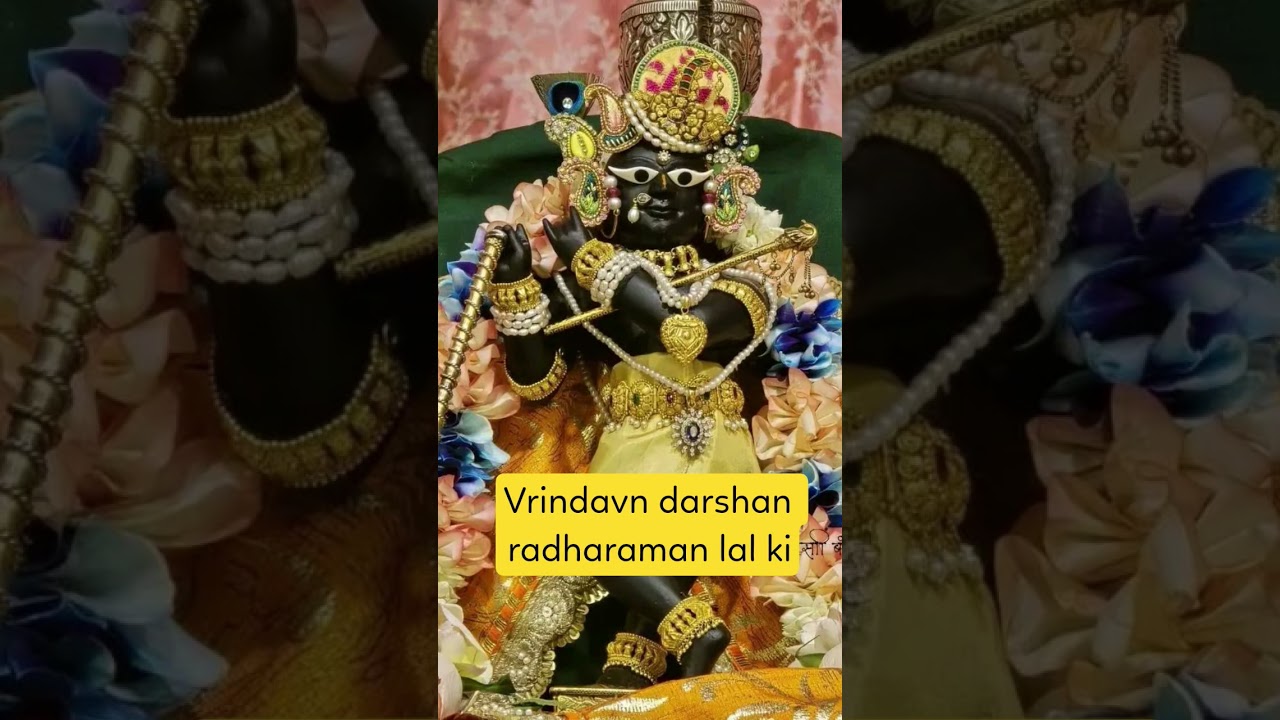 daily darshan vrindavan #subscribe