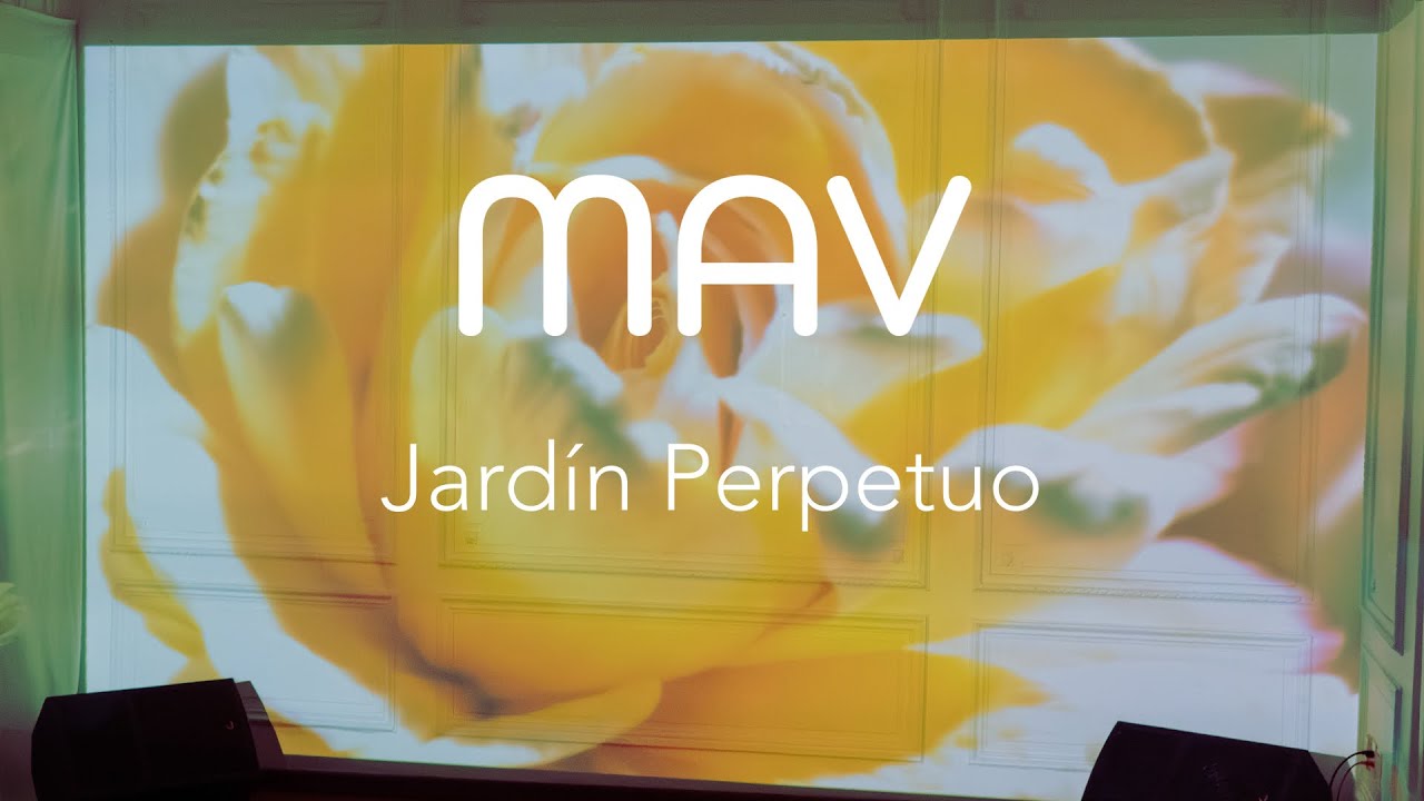 Martes de Artes Visuales - Jardín Perpetuo