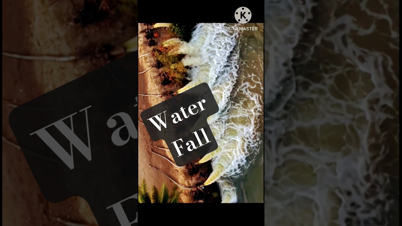 স্যালো মেশিন 