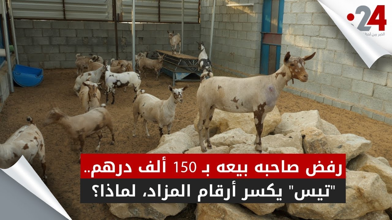 رفض صاحبه بيعه بـ 150 ألف درهم.. 